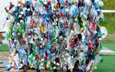 10 Facts About Residential Recycling You Might Not Know