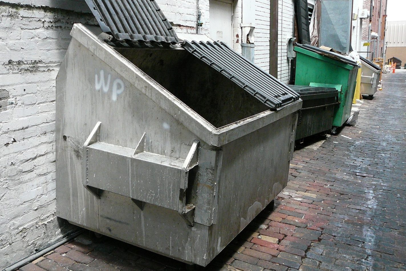 Roll away dumpster